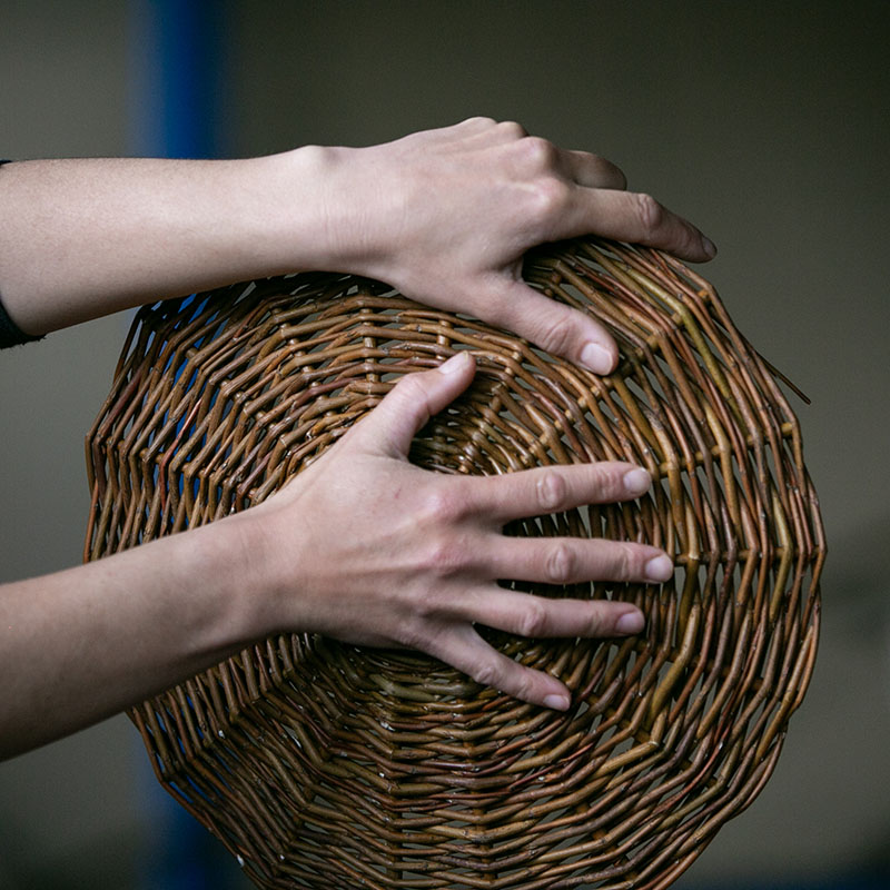 portraits perco 097 800px